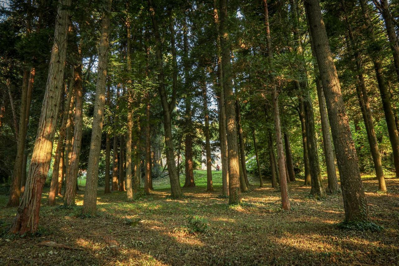 Le Clos D'Abrigeon Aubenas Exteriör bild